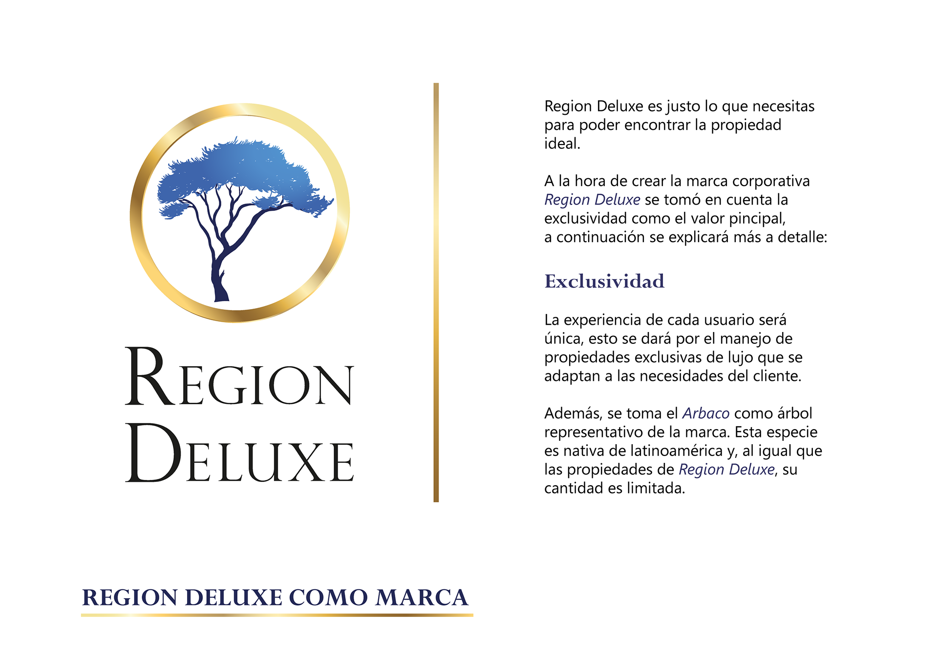 bfff3b51-1cb6-4622-93d9-e94a4b0868ee_rw_1920