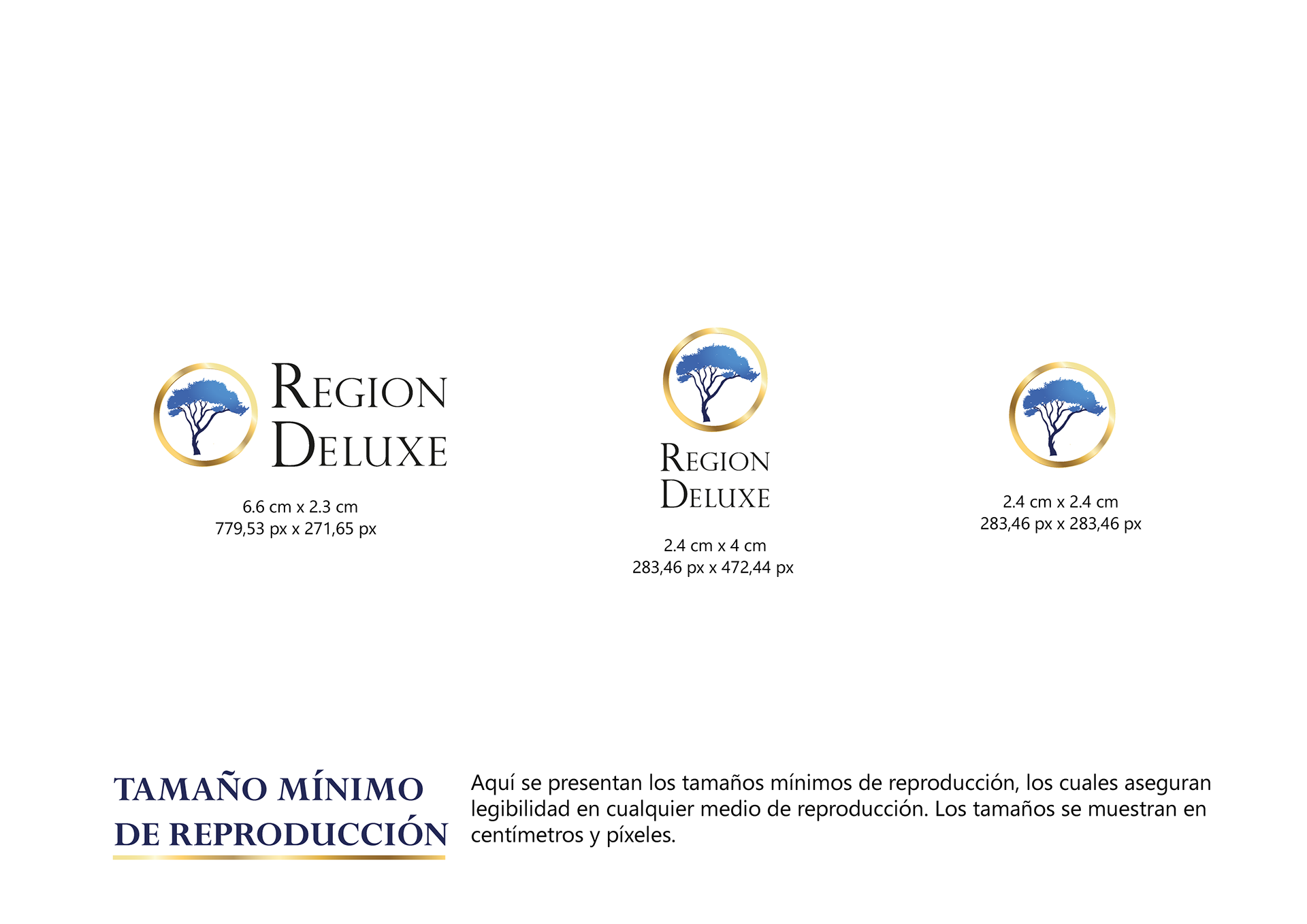 c4d80db5-70dc-4e78-9f3c-c9a364cbc821_rw_1920